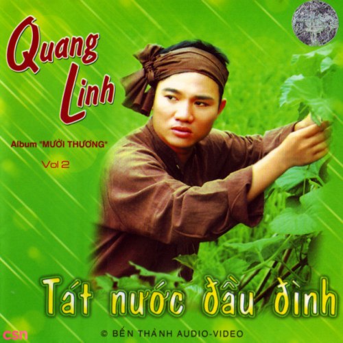 Tát Nước Đầu Đình