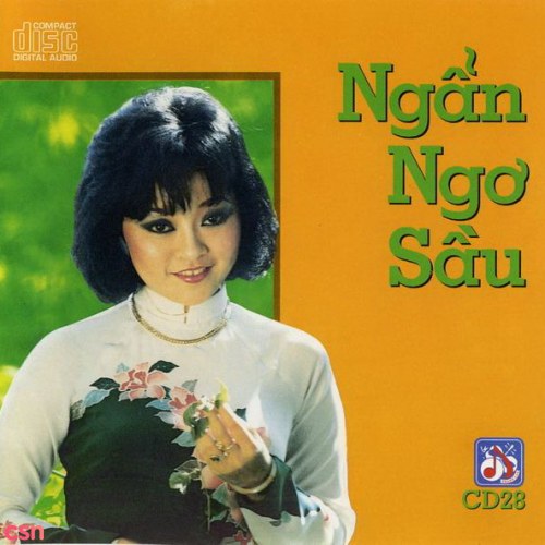 Ngẩn Ngơ Sầu