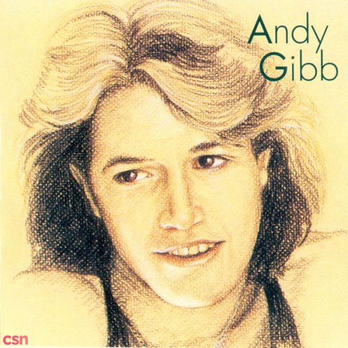 Andy Gibb