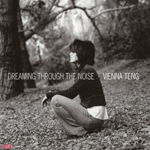 Vienna Teng