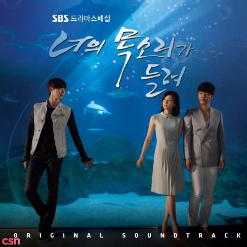 I Hear Your Voice OST