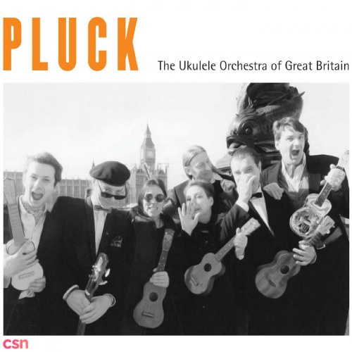 The Ukulele Orchestra Of Great Britain