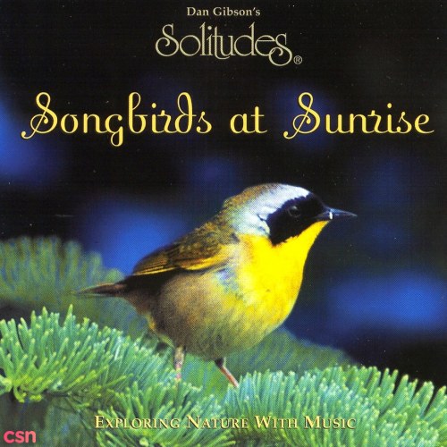 Songbirds At Sunrise (Exploring Nature With Music)