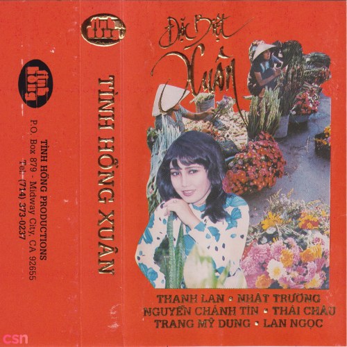 Tình Hồng Xuân 89 (Tape)