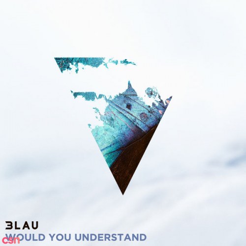 Would You Understand? (Single)