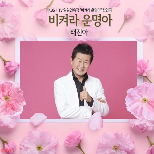 Tae Jin Ah