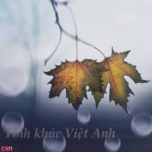 Tình Khúc Việt Anh