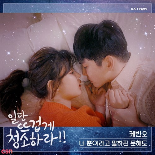 Clean With Passion For Now OST Part.9 (Single)