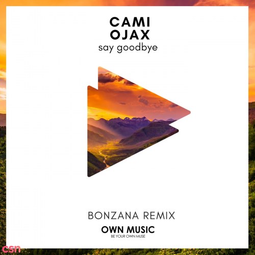 Say Goodbye (Bonzana Remix) (Single)