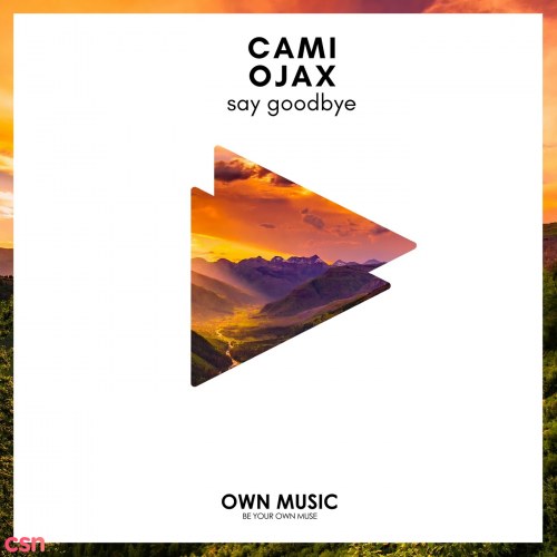 Say Goodbye (Single)