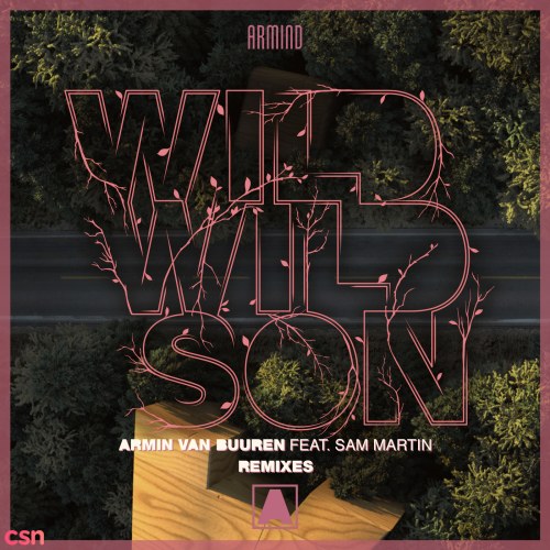 Wild Wild Son (Remixes)