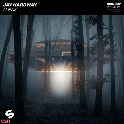 Jay Hardway