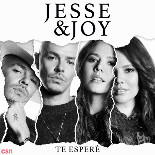 Jesse & Joy