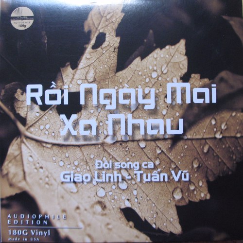 Rồi Ngày Mai Xa Nhau (Vinyl)