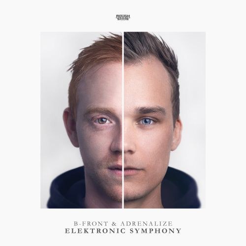 Elektronic Symphony (Single)