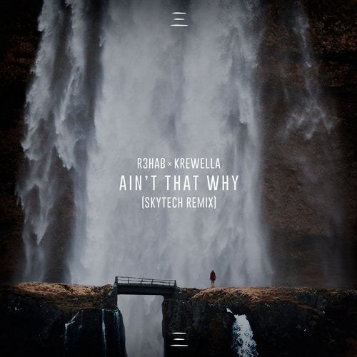Ain't That Why (Remixes)