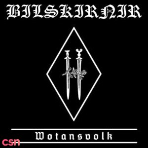 Bilskirnir