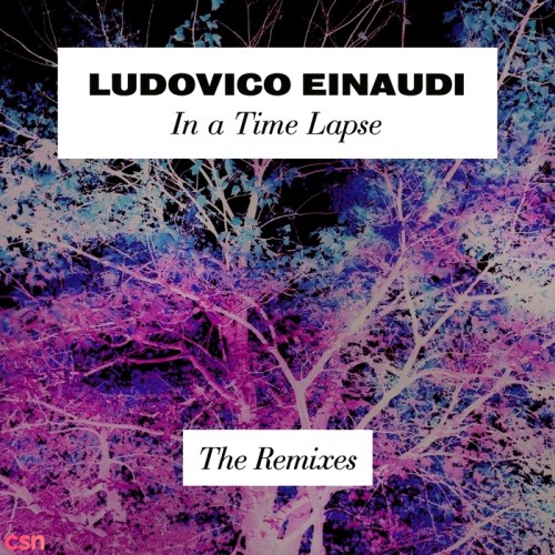 Ludovico Einaudi