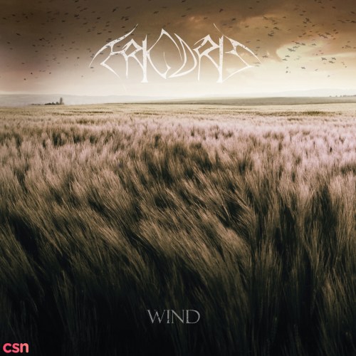 Wind