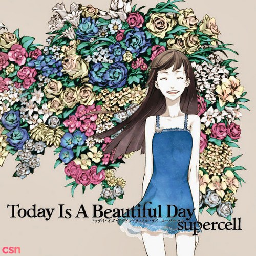 Today Is Beautiful Day