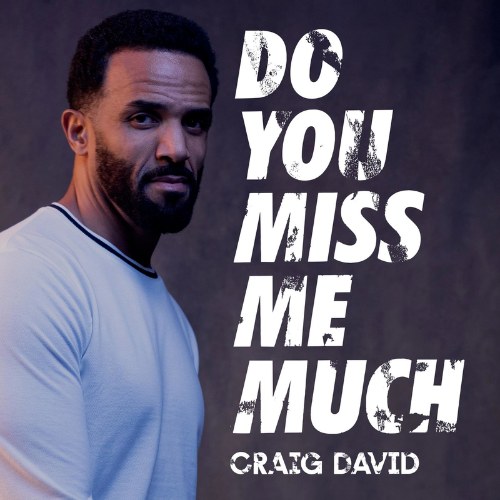 Do You Miss Me Much (Single)