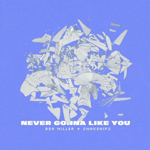 Never Gonna Like You (Single)