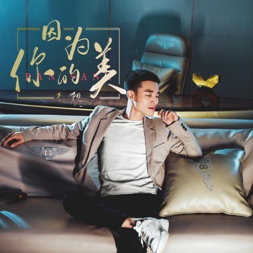 Bởi Vì Vẻ Đẹp Của Em (因为你的美) (Single)