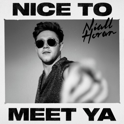 Nice To Meet Ya (Single)