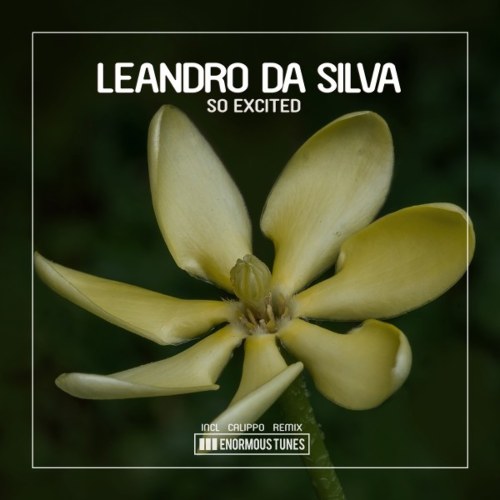 Leandro Da Silva