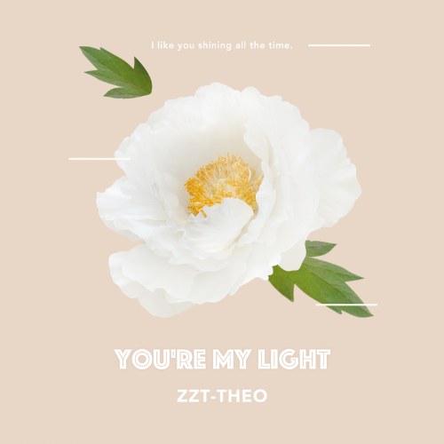 You're My Light (Single)