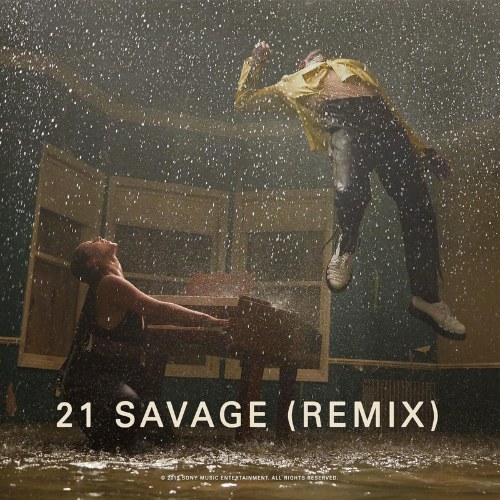 Show Me Love (21 Savage Remix) (Single)
