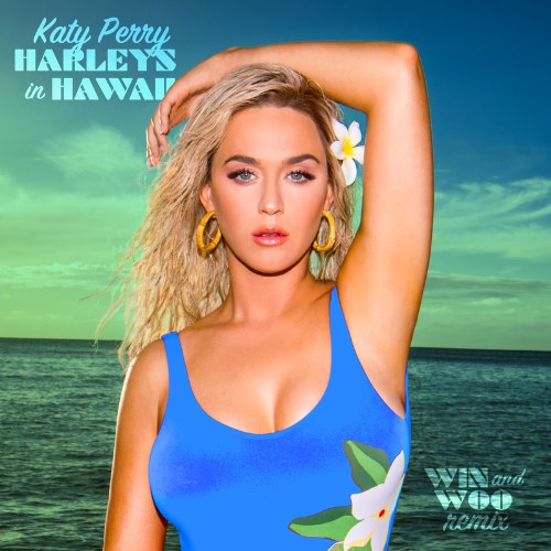 Harleys In Hawaii (Win and Woo Remix) (Single)