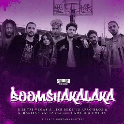 Boomshakalaka (Ricardo Montana Bootleg) (Single)