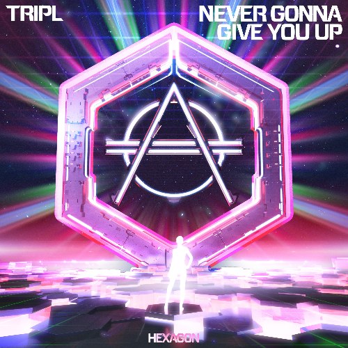 Never Gonna Give You Up (Single)