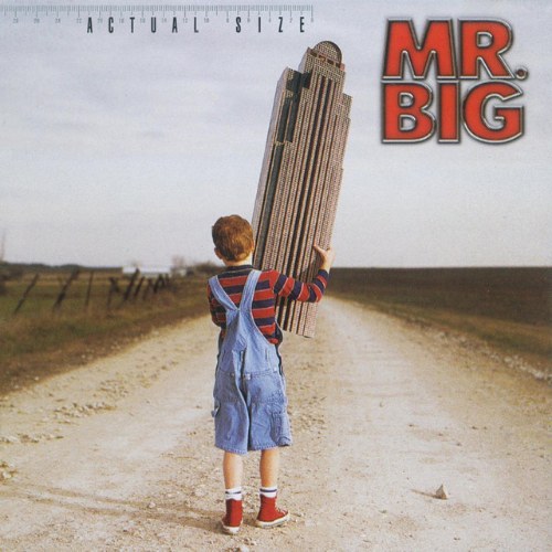 Mr. Big