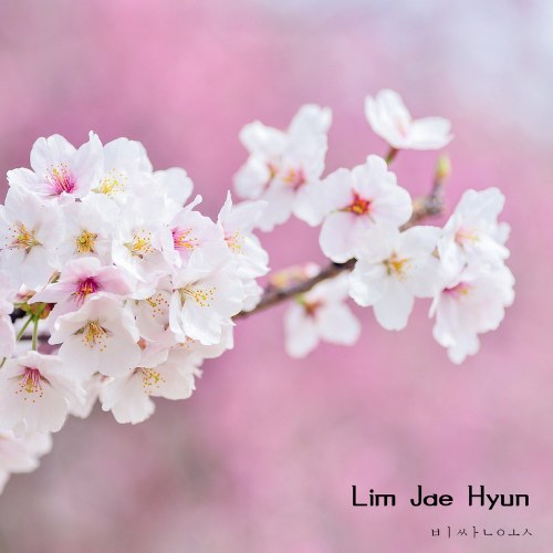 Lim Jae Hyun