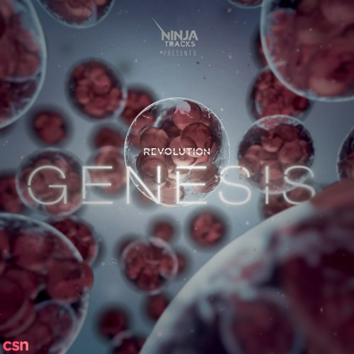 Revolution Genesis