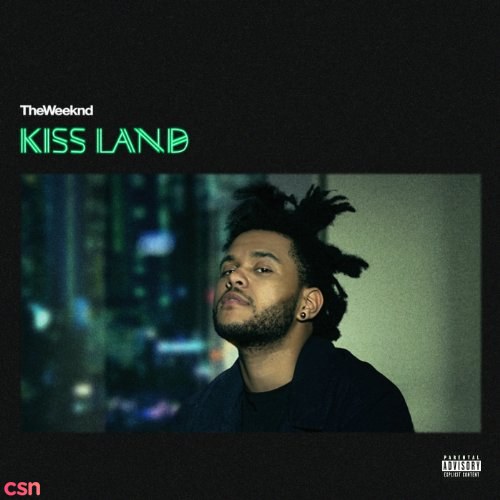 Kiss Land