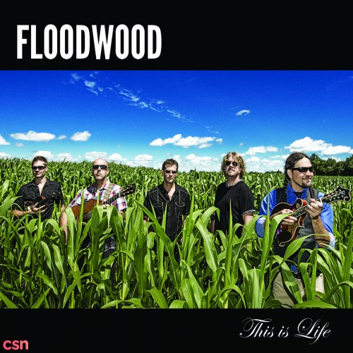 Floodwood