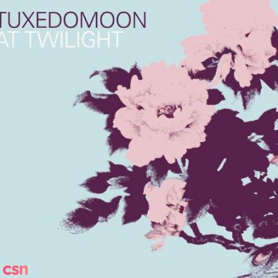 Tuxedomoon