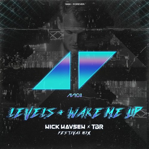 Levels + Wake Me Up (Nick Havsen & TBR Festival Mix) (Single)