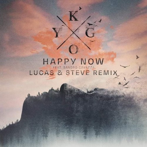 Happy Now (Lucas & Steve Remix) (Single)