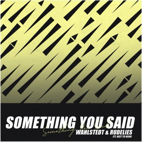 Something You Said (Single)