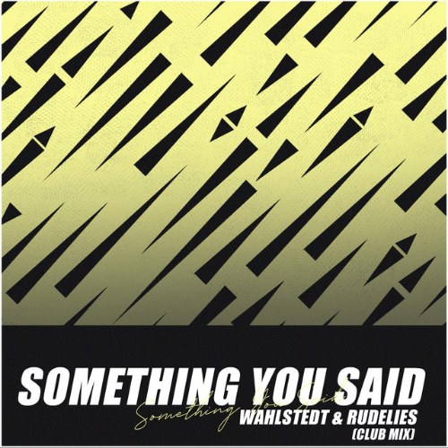 Something You Said (Club Mix) (Single)