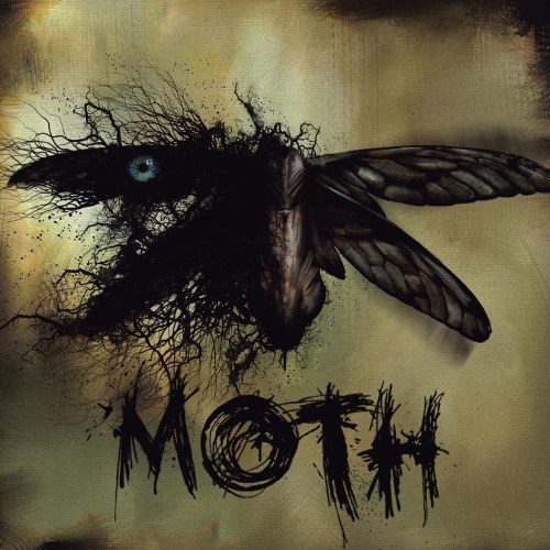 Moth