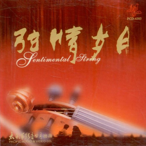 Sentimental String 1 (弦情岁月1)