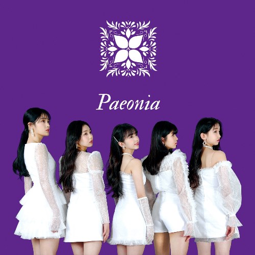 Paeonia (Single)