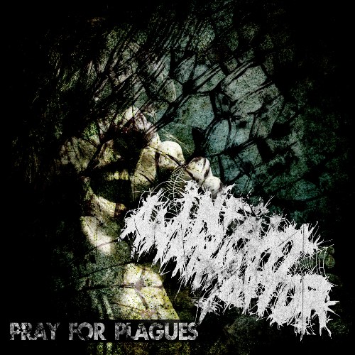 Pray For Plagues (Single)