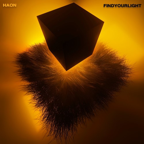 Find Your Light : Daylight #3 (Single)