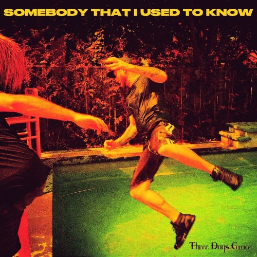 Somebody That I Used to Know (Single)